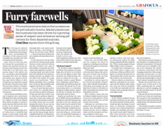CHINA DAILY专访谈及宠物殡葬背后的巨大潜力与商机，TIANPET天宠